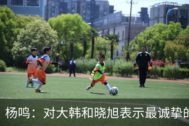 杨鸣：对大韩和晓旭表示最诚挚的感谢和尊重